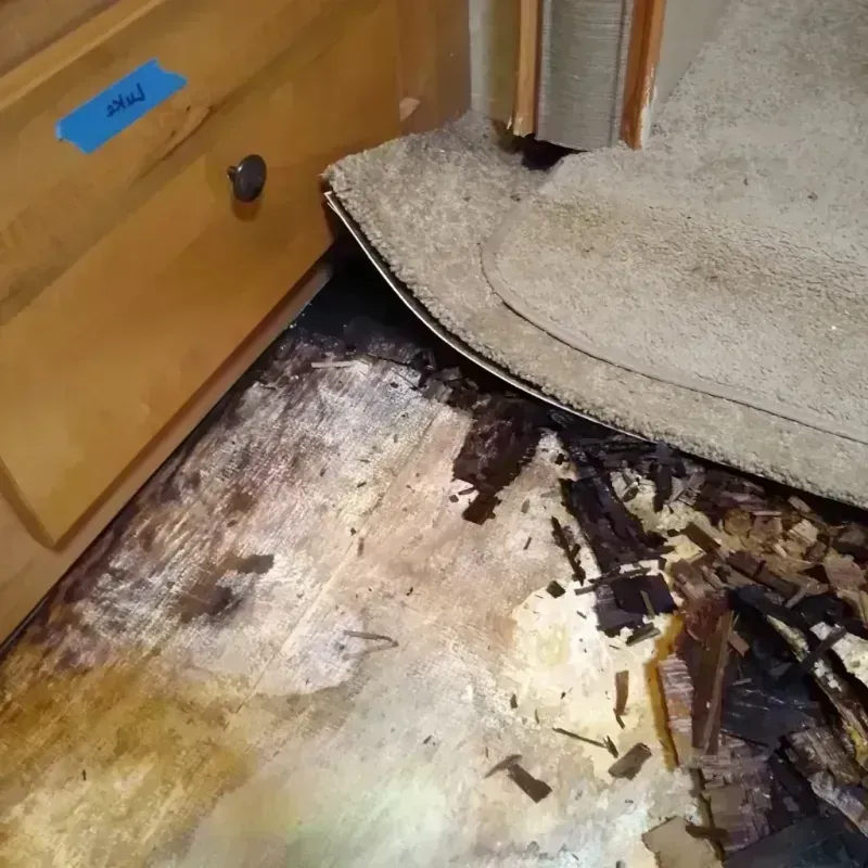 Best Wood Floor Water Damage Service in Virden, IL